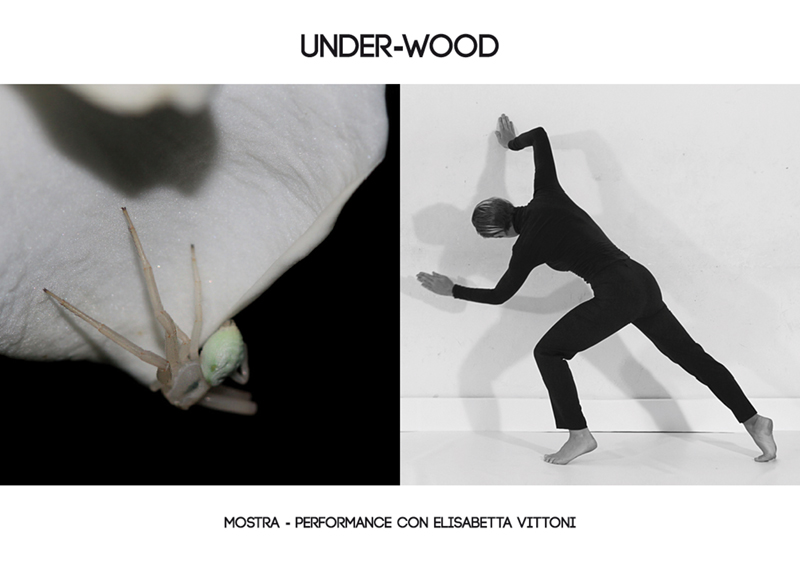 UNDER-WOOD mostra performance con Elisabetta Vittoni